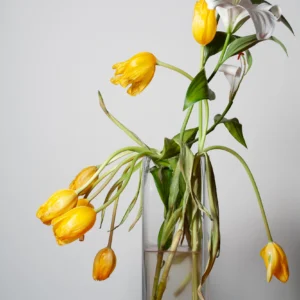 Flors 39